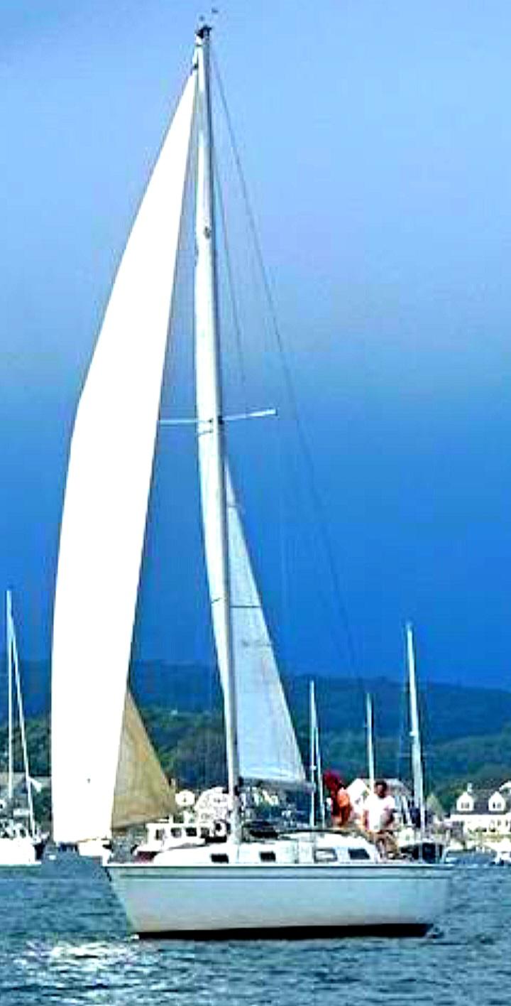 sailboat in the connecticut marina harbor